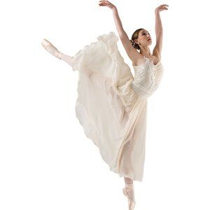 Costume Gallery J'adore Ballet Lyrical Costume